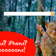 Illustration for article titled Microsoft Bing To Replace Google As Default Search Engine On iPhone?